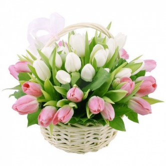 бело-розовые тюльпаны в корзине